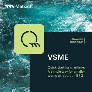 VSME quick start V1